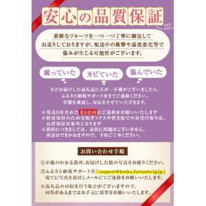 ふるさと納税 甲州屋厳選 大房ぶどう3種詰め合...の詳細画像2