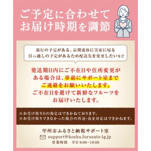 ふるさと納税 甲州屋厳選 大房ぶどう3種詰め合...の詳細画像3