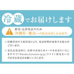 ふるさと納税 甲州屋厳選 大房ぶどう3種詰め合...の詳細画像4