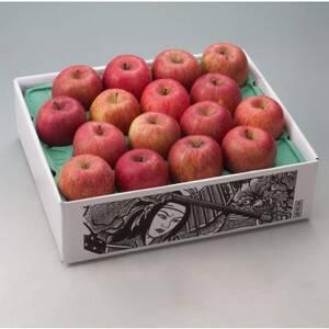 ふるさと納税 【R7年12月中旬〜発送予定】訳あり 青森県産りんご「サンふじ」 約5kg(12〜25...