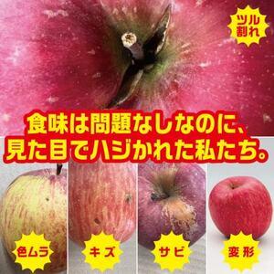 ふるさと納税 【R7年12月中旬〜発送予定】訳...の詳細画像1