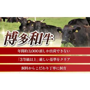 ふるさと納税 【全10回定期便】博多和牛 厚切...の詳細画像1