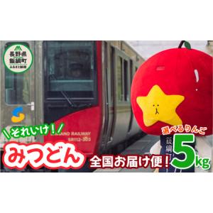 ふるさと納税 飯綱町PRキャラクター みつどん 旬のりんご 家庭用 5kg 全国お届け便 品種はおまかせ あたなのお家にお届けします！ 信州 果物 フ.. 長野県飯綱町