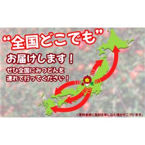 ふるさと納税 飯綱町PRキャラクター みつどん...の詳細画像2