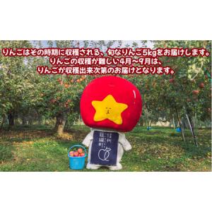 ふるさと納税 飯綱町PRキャラクター みつどん...の詳細画像3
