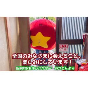 ふるさと納税 飯綱町PRキャラクター みつどん...の詳細画像4