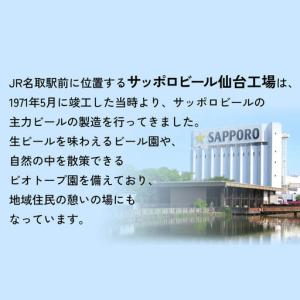ふるさと納税 【定期便10ヶ月】サッポロ 濃い...の詳細画像2