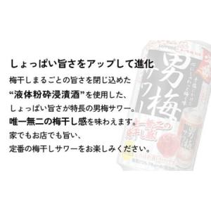 ふるさと納税 【定期便6ヶ月】サッポロ 男梅サ...の詳細画像1
