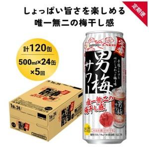 ふるさと納税 【定期便5ヶ月】サッポロ 男梅サワ...の商品画像