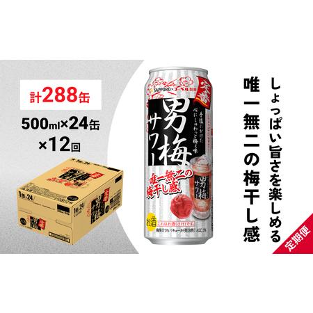 ふるさと納税 サッポロ 男梅 サワー 500ml×24缶(1ケース)×定期便12回(合計288缶) ...