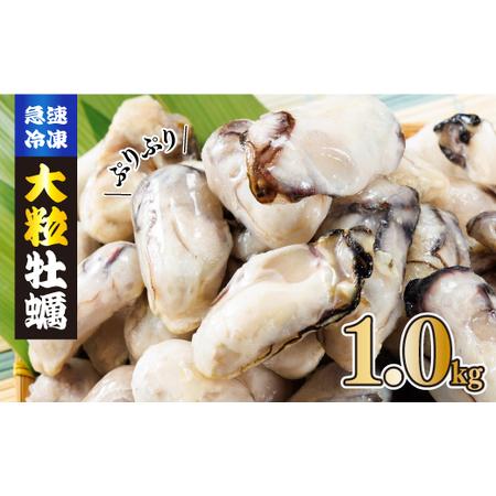 ふるさと納税 牡蠣 1kg ( 500g × 2 ) 国産 冷凍 牡蠣 急速凍結だからこその美味しさ...