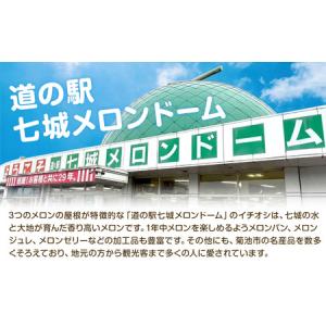 ふるさと納税 【先行予約】厳選 熊本県産のぶど...の詳細画像1