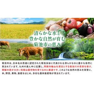 ふるさと納税 【先行予約】厳選 熊本県産のぶど...の詳細画像2