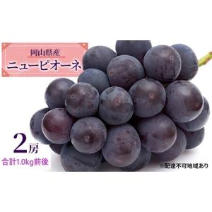 ふるさと納税 ぶどう 2026年 先行予約 ニュー ピオーネ 2房 合計1.0kg前後 ぶどう 岡山県瀬戸内市