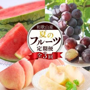 ふるさと納税 定期便全3回 和歌山の人気の夏のフ...の商品画像
