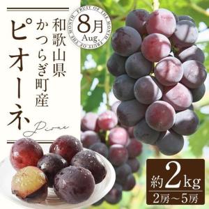 ふるさと納税 定期便全3回 和歌山の人気の夏の...の詳細画像3