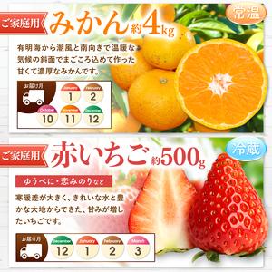 ふるさと納税 【 定期便 12回 】 プチっと...の詳細画像2