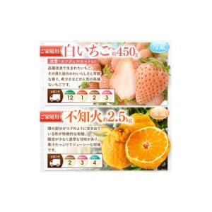 ふるさと納税 【 定期便 12回 】 プチっと...の詳細画像3