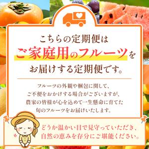 ふるさと納税 【 定期便 12回 】 プチっと...の詳細画像4