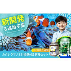 ふるさと納税 水槽 カクレクマノミ飼育セット（1ヶ月死亡補償付き）ボトルアクアリウムマリン2[BACD003] 広島県福山市