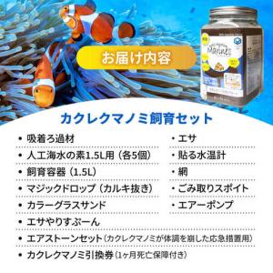 ふるさと納税 水槽 カクレクマノミ飼育セット(...の詳細画像3