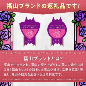 ふるさと納税 水槽 カクレクマノミ飼育セット(...の詳細画像4
