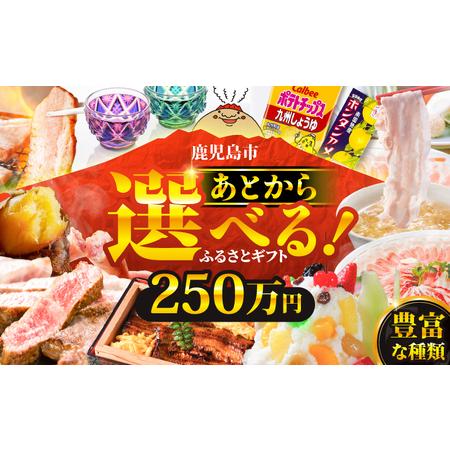 ふるさと納税 あとからセレクト【 ふるさとギフト 】250万円 K000-250 おすすめ 食品 ス...