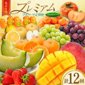 ふるさと納税 南国宮崎 プレミアムフルーツ定期便...の商品画像
