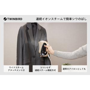 ふるさと納税 【除菌】STYLE MAGIC ハンディーアイロン & スチーマー (SA-4088G) 新潟県燕市