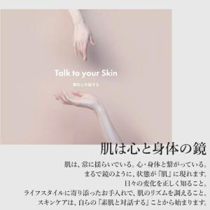 ふるさと納税 【3か月おき4回定期便】【シーボ...の詳細画像1