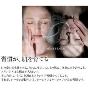 ふるさと納税 【3か月おき4回定期便】【シーボ...の詳細画像2
