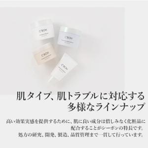 ふるさと納税 【3か月おき4回定期便】【シーボ...の詳細画像3