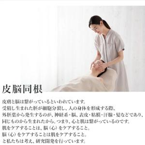 ふるさと納税 【3か月おき4回定期便】【シーボ...の詳細画像4