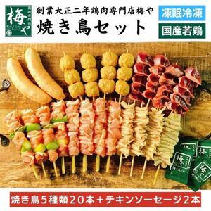 ふるさと納税 鶏肉専門店の焼き鳥セット（焼き鳥20本・チキンソーセージ２本・焼き鳥たれ(10ml)４...