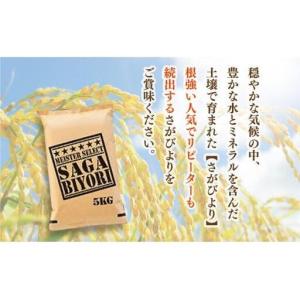 ふるさと納税 [令和7年産] <定期便12回>...の詳細画像2