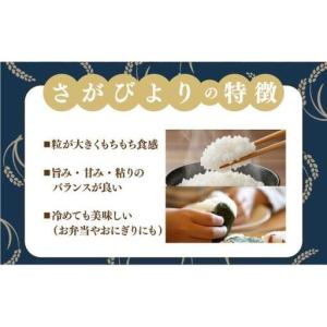 ふるさと納税 [令和7年産] <定期便12回>...の詳細画像3