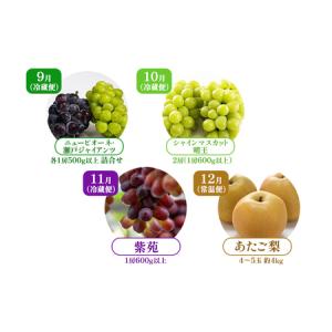 ふるさと納税 ぶどう 梨 定期便 2026年 ...の詳細画像1
