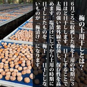 ふるさと納税 【ちょうどいい塩梅】愛ちゃんの紫...の詳細画像3