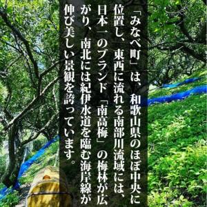 ふるさと納税 【甘くてフルーティー】愛ちゃんの...の詳細画像2