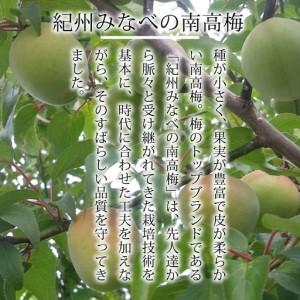 ふるさと納税 【甘くてフルーティー】愛ちゃんの...の詳細画像4