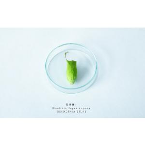 ふるさと納税 【定期便6ヵ月】PALELINO...の詳細画像2