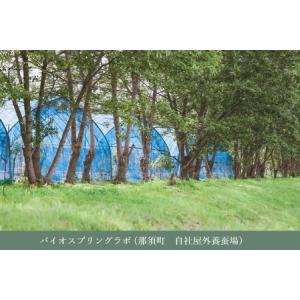 ふるさと納税 【定期便6ヵ月】PALELINO...の詳細画像3