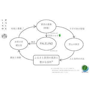 ふるさと納税 【定期便6ヵ月】PALELINO...の詳細画像4