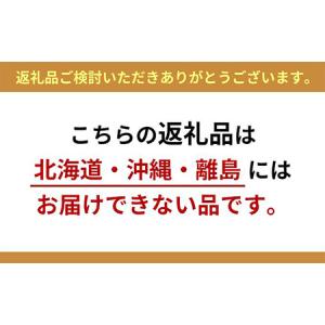 ふるさと納税 ぶどう 梨 定期便 2026年 ...の詳細画像3