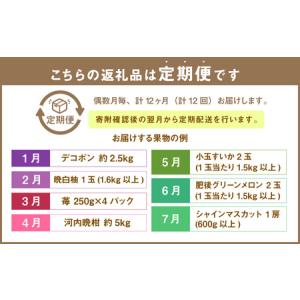 ふるさと納税 【年12回定期便】熊本県産フルー...の詳細画像1