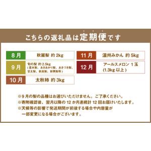 ふるさと納税 【年12回定期便】熊本県産フルー...の詳細画像2