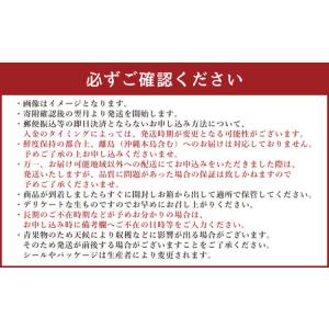 ふるさと納税 【年12回定期便】熊本県産フルー...の詳細画像3