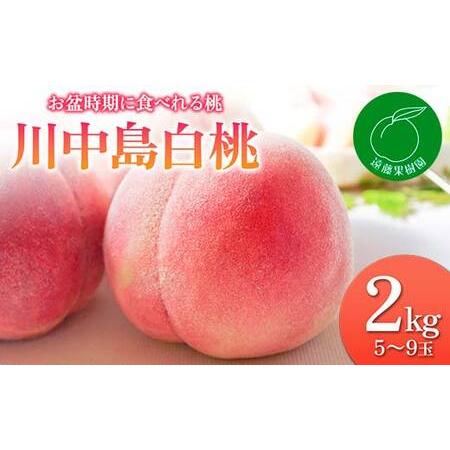 ふるさと納税 福島の桃 お盆時期に食べれる桃「川中島白桃」2kg（5〜9玉）先行予約 フルーツ 果物...