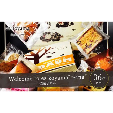 ふるさと納税 Welcome to es koyama“〜ing” 【焼き菓子のみ】 兵庫県三田市
