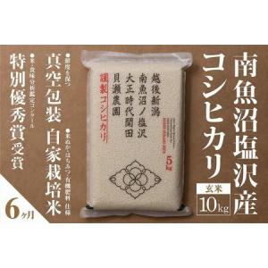 ふるさと納税 【定期便】自家栽培米　南魚沼塩沢産コシヒカリ　玄米10kg(5kg×2個)×全6回 新潟県南魚沼市｜furunavi